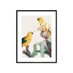 Red Parrot Painting Eealistic Watercolor